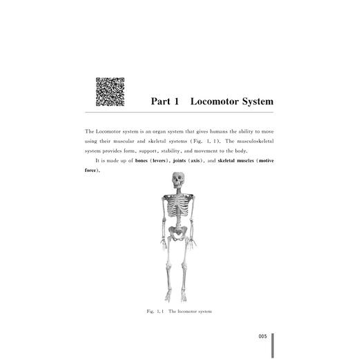 系统解剖学(英文版)/张晓明/浙江大学出版社 商品图1