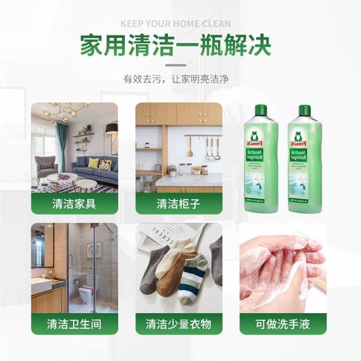 Frosch家具多用途清洁剂 商品图2