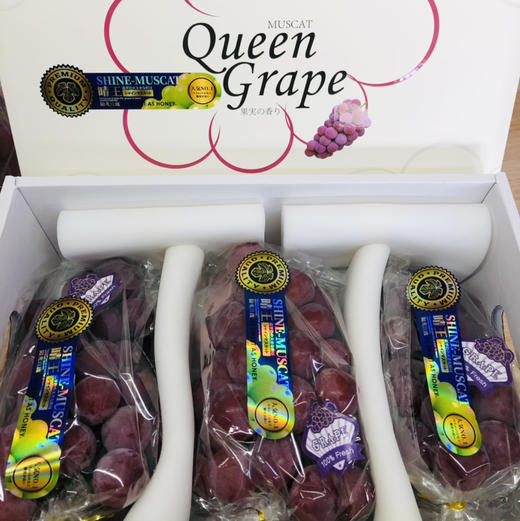 🌿🙋🏻‍♂️妮娜皇后（超级女皇Queen）据说在日本是比香印青提表现更优秀的品种‼️ 无核，颗粒大，糖度超高有花香➕草莓香➕牛奶香➕红酒香等复合型香味……回味无穷 商品图4