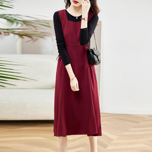 2022新款秋季女装时尚潮流马甲套装裙两件套时尚连衣裙HR-LSNY22021 商品图2
