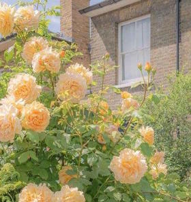 舒服的关系，都符合“二八定律”