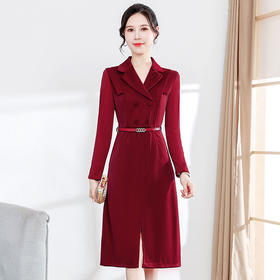 YCE-YJY-22TS220 时尚收腰长袖连衣裙女2022秋季新款修身贵夫人中长款结婚礼服裙子