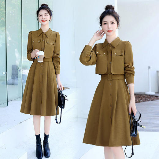 HRFS-WY8873-19时尚气质收腰显瘦翻领拼接假两件连衣裙 商品图2