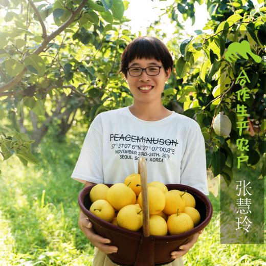 生态赵县皇冠梨 | 合作生产 *Ecological crown pear | Coproduction 商品图1