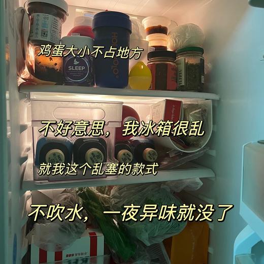 和冰箱异味说拜拜～小仓熊冰箱除味剂除味蛋 家用分解净化抑菌4颗/盒 商品图5