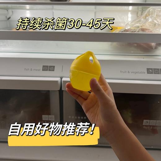 和冰箱异味说拜拜～小仓熊冰箱除味剂除味蛋 家用分解净化抑菌4颗/盒 商品图3
