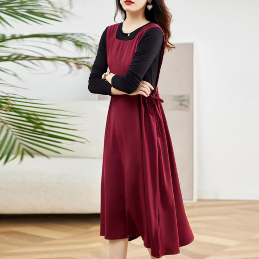 2022新款秋季女装时尚潮流马甲套装裙两件套时尚连衣裙HR-LSNY22021 商品图0