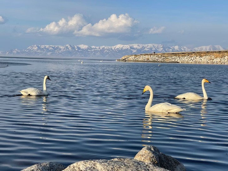 D7赛里木湖 (1).jpg