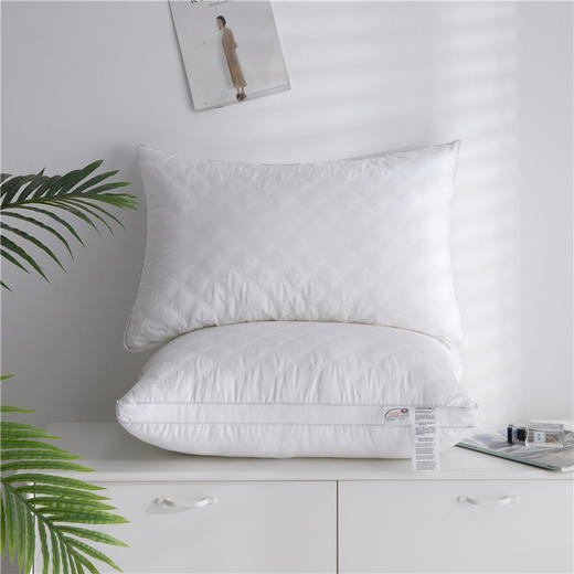 全棉枕芯绗缝羽丝绒立体枕 可水洗纯棉枕头 心选到家 商品图5