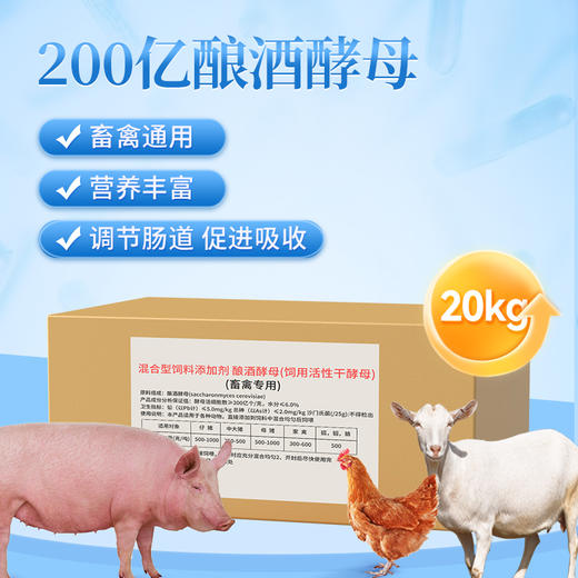 华畜 200亿酿酒酵母20kg 调理肠道 促进吸收 禽畜通用 商品图1