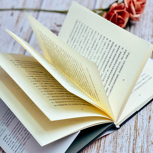 日常生活颂歌 论十七世纪荷兰绘画 轻与重文丛 茨维坦·托多罗夫 商品图11