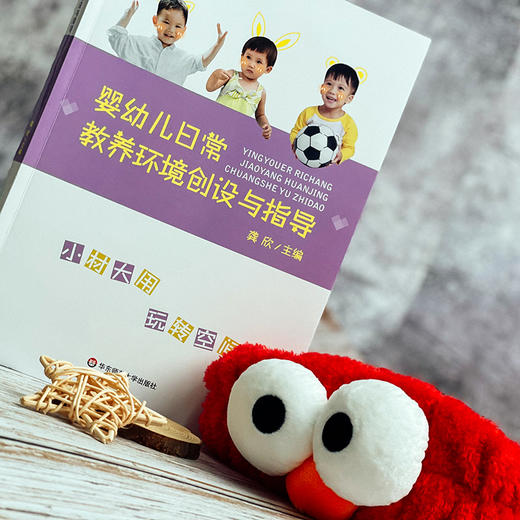 婴幼儿日常教养环境创设与指导 语言交流 感知运动 社会情感 生活体验 认知表现 商品图3