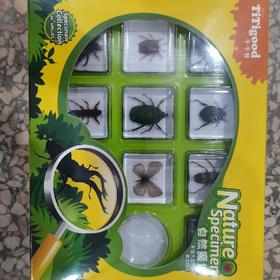 千千谷昆虫   2800278     【新】昆虫组合10个装(1102)