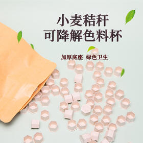 小麦秸秆色料杯惊蛰刺青器材