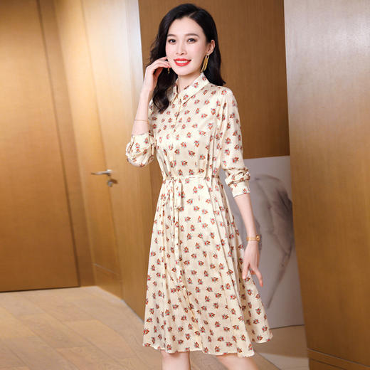 新款真丝系带V领气质时尚女士连衣裙 商品图0