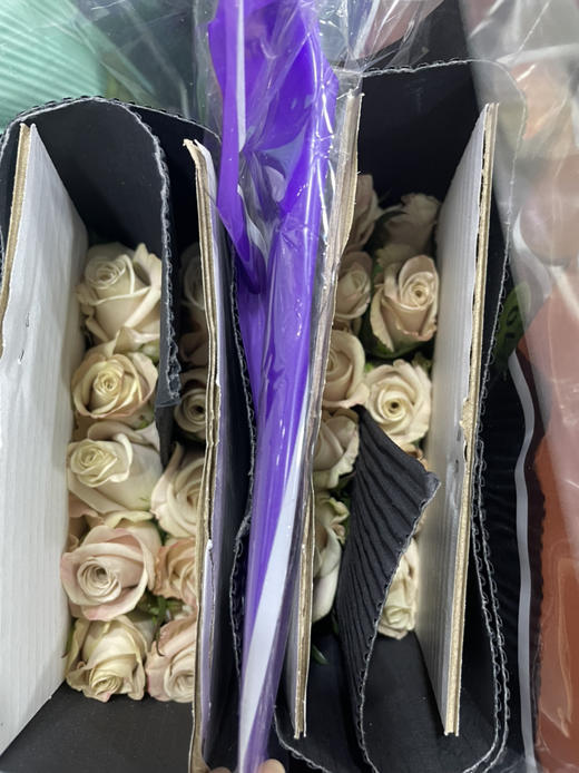 【拍市玫瑰】 曼塔 10枝/扎  约60公分 商品图5