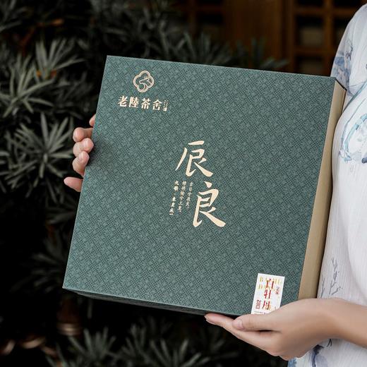 正安优选·老陆茶舍｜辰良•2013荒野白牡丹饼 商品图1
