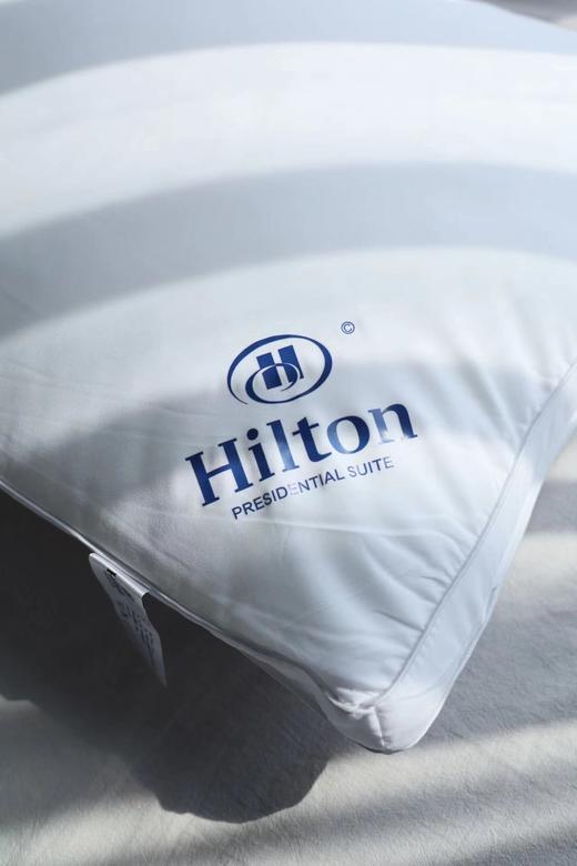 两个枕头¥99⭐️换季换新福利：买一送一⭐️五星酒店的睡眠希尔顿联名高端枕头！「Hilton希尔顿」云柔枕🔺精选日本黑科技静音面料🔺100%纤维，650g黄金比例填充✔️软糯厚实，如枕云端️ 商品图2