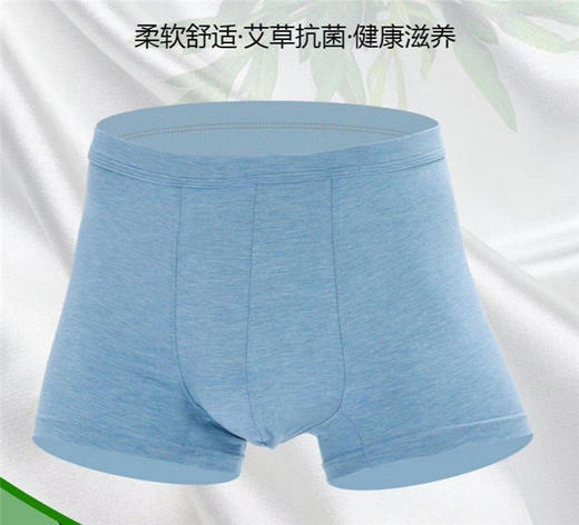 MH竹纤维男士肥佬抑菌平角内裤31242 商品图1