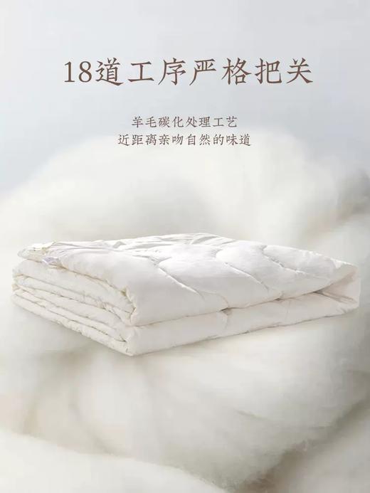 【远梦】MICHELL1870羊毛双人冬被 商品图2