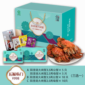 【礼券】阳澄湖五福临门10只装 鲜活大闸蟹（A/B/C三选一）