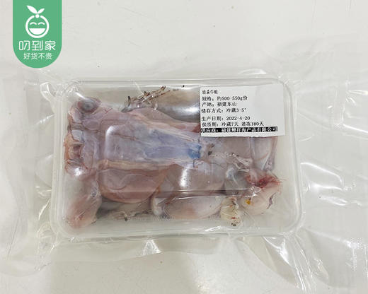 新鲜现杀牛蛙（杀完约1kg±50g/份） 商品图5