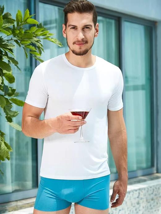 SCHIESSER 德国舒雅铂雅男士超细莫代尔透气修身单件短袖95/0137M 商品图0