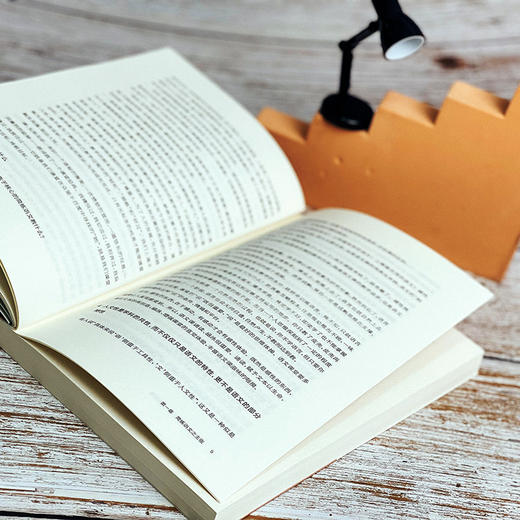 简练语文 教学主张与实践智 核心素养导向的课堂教学丛书 张挥著 杨四耕主编 高中语文 商品图11