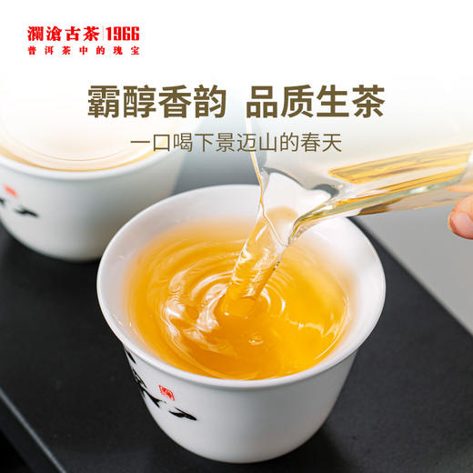 澜沧古茶2022年景迈001小饼普洱生茶鉴赏装礼盒84g 商品图3
