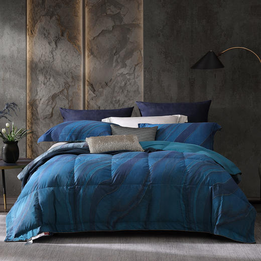 流金溢彩可水洗95%鹅绒春秋被赠一对枕套+床单 商品图0