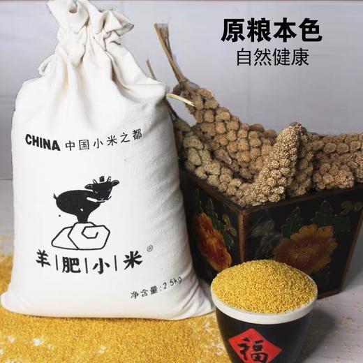 山西武乡羊肥小米——中国好米在山西，山西好米在武乡！羊肥种植 色泽金黄 颗粒饱满 粘稠香浓米油 米汁绵软易嚼 满口生香 商品图13