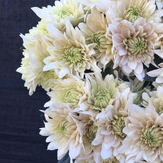 小菊.香草冰沙 商品图3