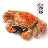 【礼券】阳澄湖六六大顺8只装 鲜活大闸蟹（A/B/C三选一） 商品缩略图8