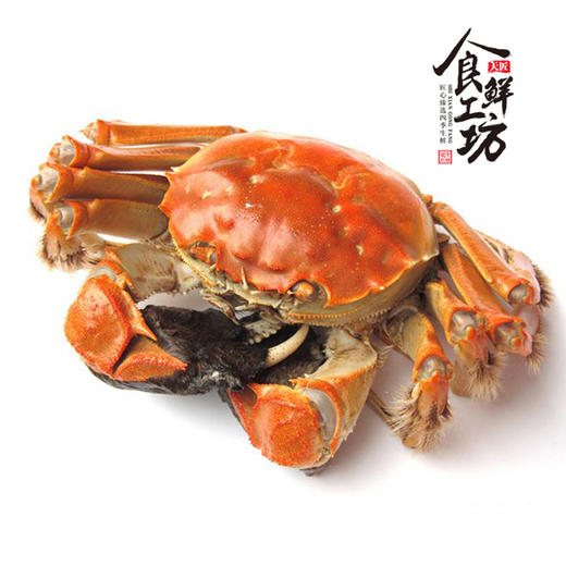 【礼券】阳澄湖六六大顺8只装 鲜活大闸蟹（A/B/C三选一） 商品图8