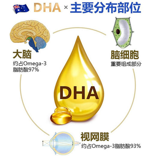 （香港直邮）澳至尊DHA婴幼儿儿童营养软胶囊60粒  保质期至2026-06-30 商品图2