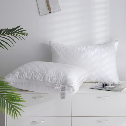 全棉枕芯绗缝羽丝绒立体枕 可水洗纯棉枕头 心选到家 商品图1