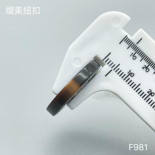 F981(整包购买) 商品图6