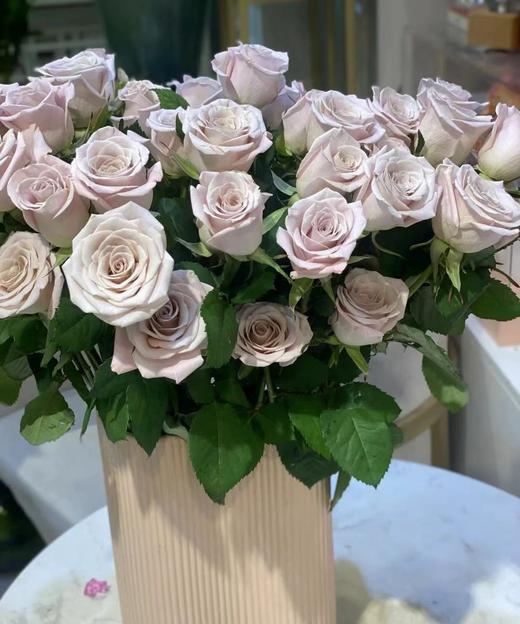 【拍市玫瑰】 曼塔 10枝/扎  约60公分 商品图2