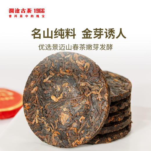 澜沧古茶2021年景迈0085普洱熟茶鉴赏补充装192g（8克*12*2罐） 商品图4