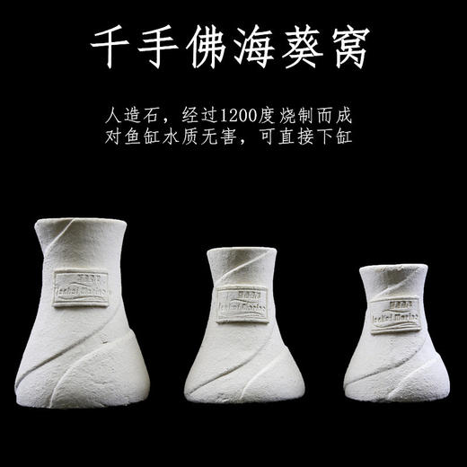 千手佛海葵窝 商品图0