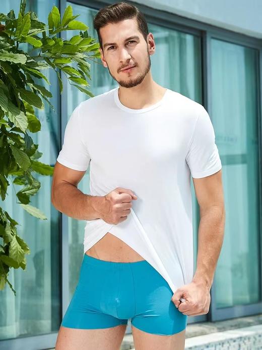 SCHIESSER 德国舒雅铂雅男士超细莫代尔透气修身单件短袖95/0137M 商品图1