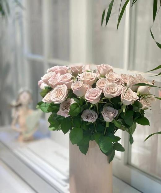 【拍市玫瑰】 曼塔 10枝/扎  约60公分 商品图1