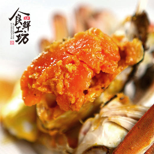 【礼券】阳澄湖百世享通10只装 鲜活大闸蟹 （A/B/C三选一） 商品图8