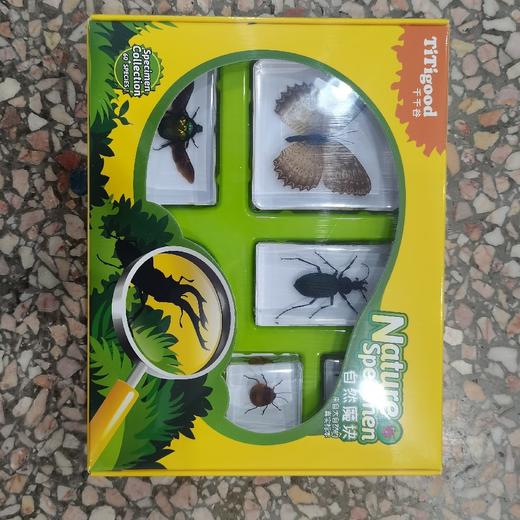 千千谷昆虫  2800322    【新】昆虫魔块组（1111） 商品图0