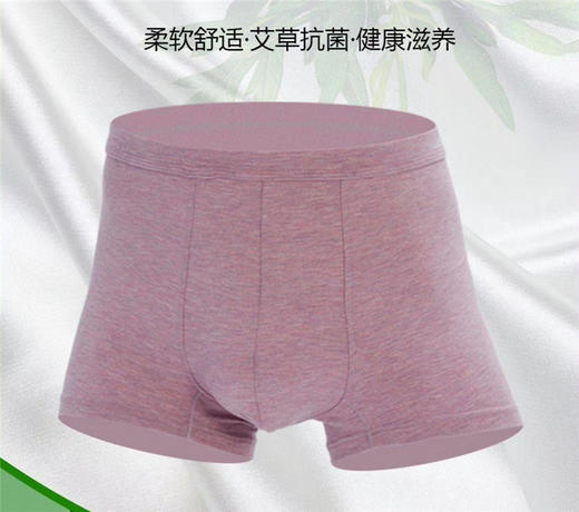 MH竹纤维男士肥佬抑菌平角内裤31242 商品图2