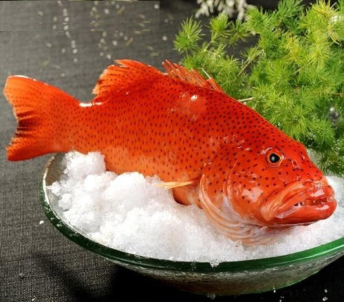 码头直发 象山海鲜套餐 商品图10