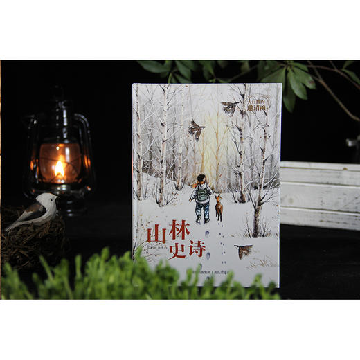 大自然的邀请函（精装套装全5册 山林史诗+小木屋的昼与夜+我和树的一年+想念虫子和草+鸟兽为伴儿）大作家薛涛写给孩子的自然文学绘本 商品图7