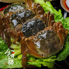 【礼券】阳澄湖七星高照10只装 鲜活大闸蟹 （A/B/C三选一） 商品缩略图7