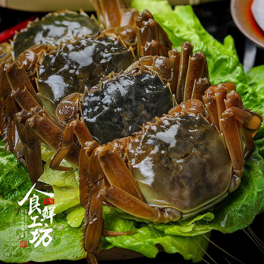 【礼券】阳澄湖七星高照10只装 鲜活大闸蟹 （A/B/C三选一） 商品图7