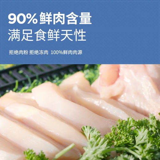 新海洋之星 低温烘焙猫粮1kg 鲜肉高蛋白增肥呵护肠胃 商品图2